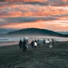 Surf Camp Australia