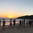 sydney tour