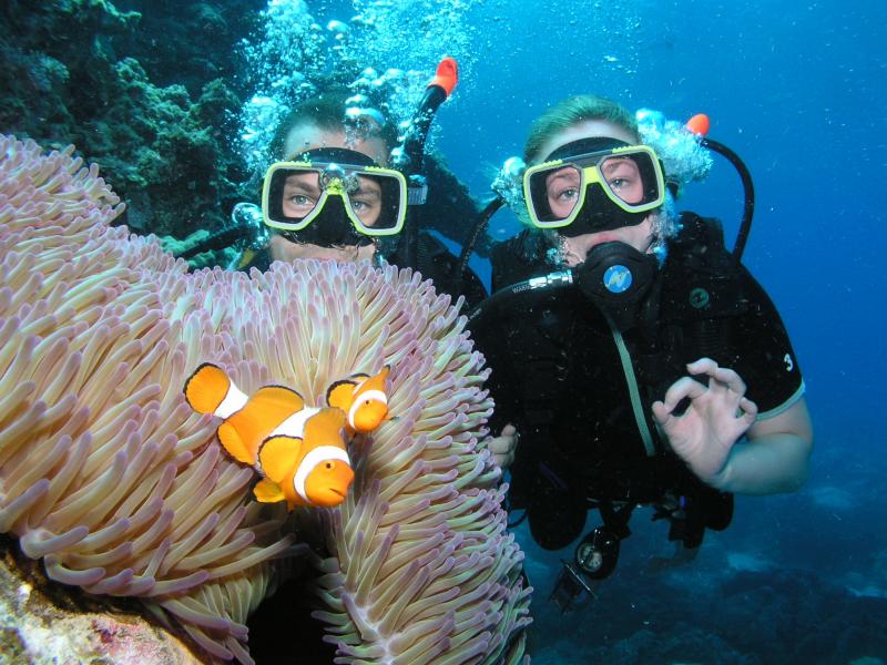 Diving course Great Barrier Reef, Australia