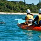Delfin Kajak Tour 2