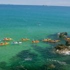 Delfin Kajak Tour Byron Bay