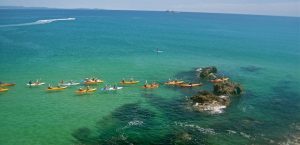 Delfin Kajak Tour Byron Bay