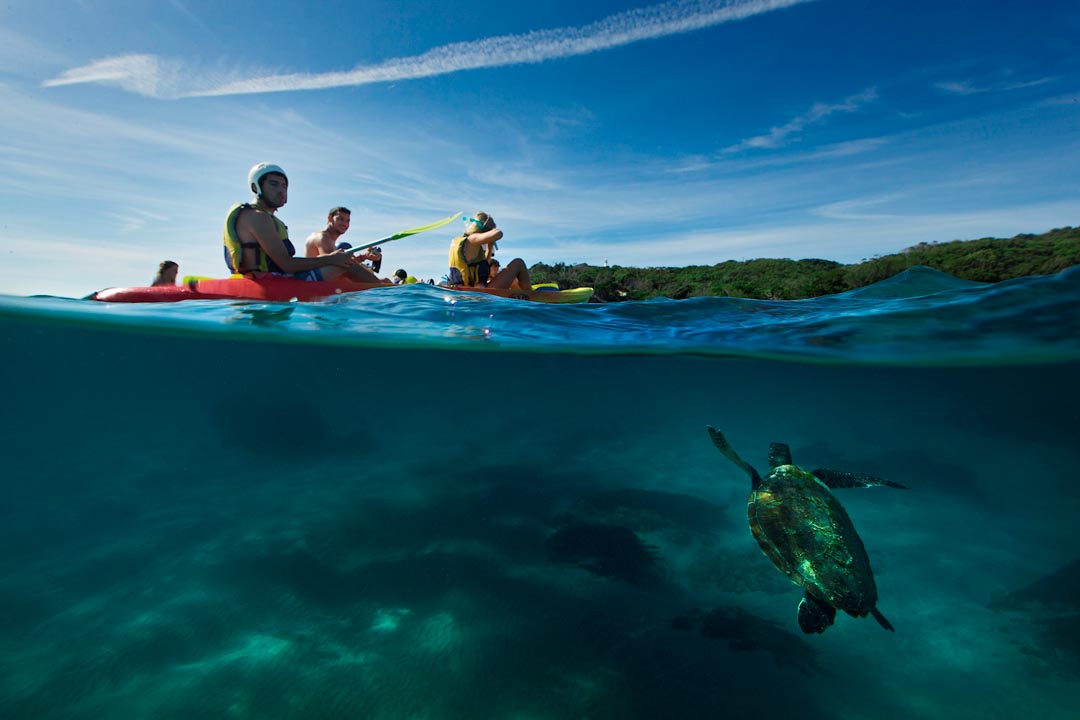 Delfin Kajak Tour Bay - Time To Backpack