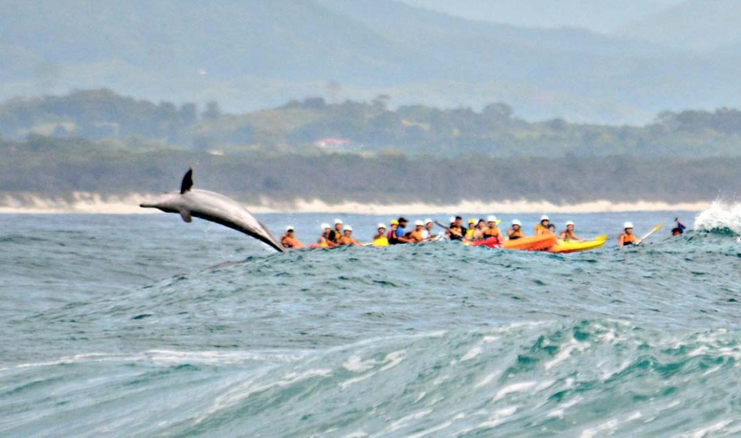 Delfin Kajak Tour Bay - Time To Backpack