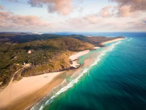 Fraser Island dingos strand