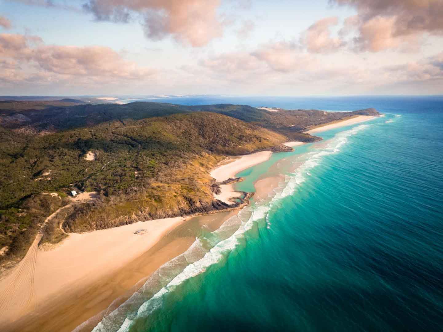 Fraser Island dingos strand