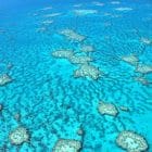 Rundflug Great Barrier Reef