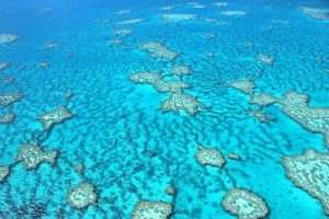 Rundflug Great Barrier Reef