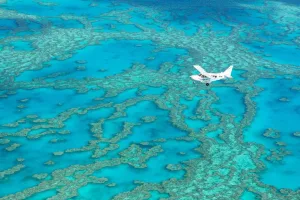 Rundflug reef