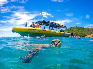 Whitsundays Tagestour