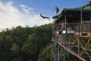 cairns-bungy-jump-and-minjin-swing-in-cairns-147206