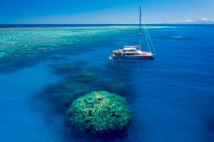 great barrier reef