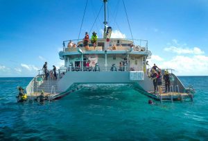 great barrier reef Schnorchel