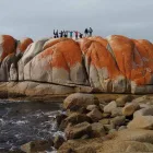 Tasmanien Rundreise