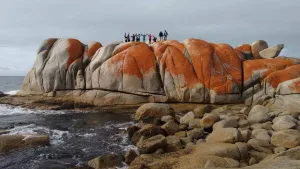 Tasmanien Rundreise