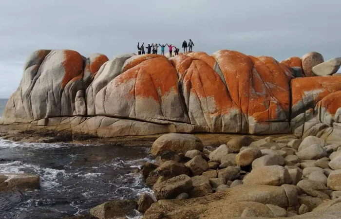 Tasmanien Rundreise