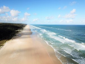 Fraser Island Tagestour