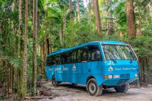 Fraser Island Tagestour