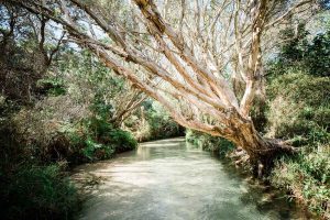 Fraser Island Tagestour