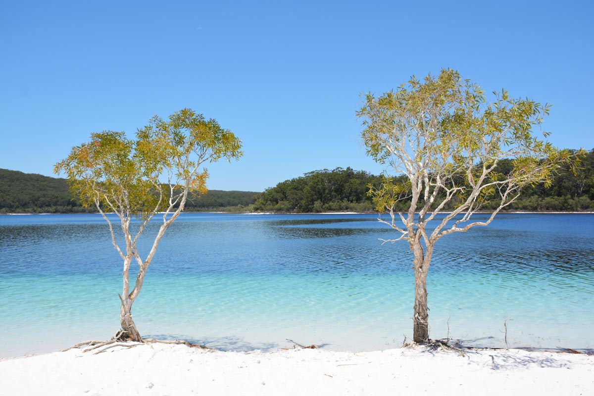 Fraser Island Tagestour