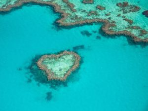 Heart Reef