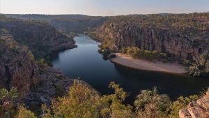 Kakadu-Australien