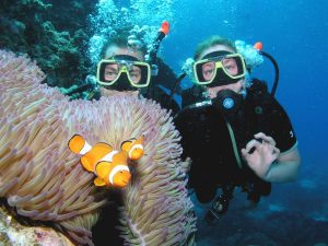 Tauchen Great Barrier Reef