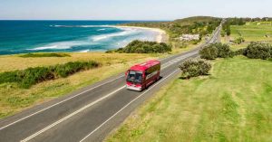 greyhound-australien