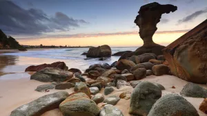 Central Coast