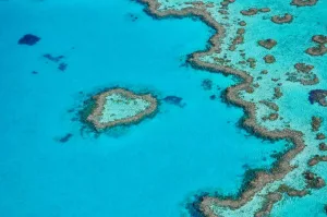 Whitsunday Air Tours heart reef close