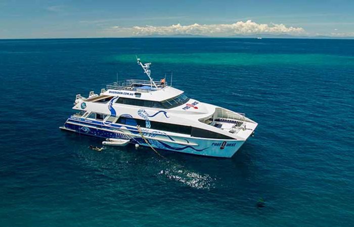 Great Barrier Reef Cairns Day Tour – Divers Den