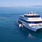 Reef Tagestour