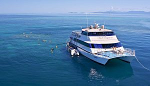 Reef Tagestour
