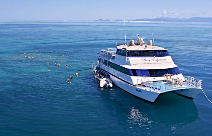 Reef Tagestour