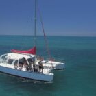 reef daytripper 1