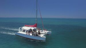 reef daytripper 1