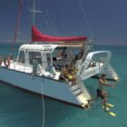 reef daytripper 3