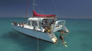 reef daytripper 3