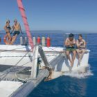 reef daytripper 4