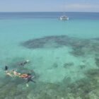 reef daytripper 5