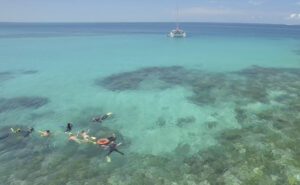 reef daytripper 5