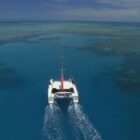 reef daytripper