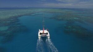reef daytripper