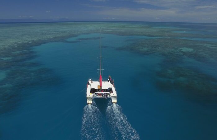 reef daytripper