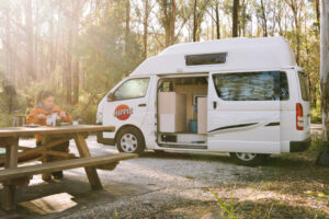 Hippie Endeavour