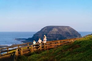 Phillip Island Tour