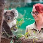 Phillip Island Tour