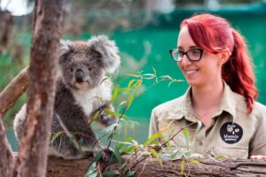 Phillip Island Tour