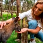 Phillip Island Tour